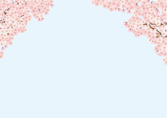 桜　ソメイヨシノ　シンプル　背景　イラスト