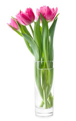 Bouquet of beautiful tulips in vase on white background