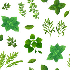 Spice seamless pattern. Food herbs and spices oregano green basil mint spinach coriander parsley dill and thyme. Vector endless texture spice for cooking, ingredient herbal and basil illustration