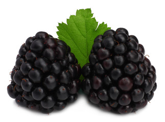 Blackberries isolated on white. Macro