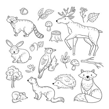 Woodland Animals Outlines Images – Browse 3,861 Stock Photos, Vectors, and  Video | Adobe Stock
