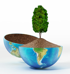 Tree growing on soil inside half open globe. 3D illustration