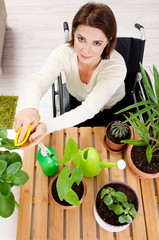 Woman in wheelchair cultivating houseplants  