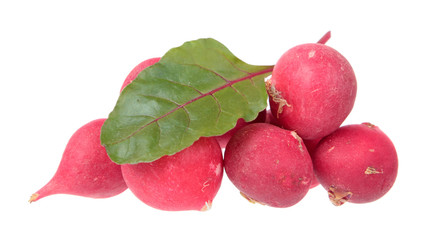 Fresh pink radishes and chard green leaf isolated on white background. Ingredients for salad