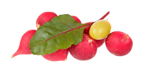 Fresh pink radishes, chard green leaf and yellow grape berry isolated on white background. Ingredients for salad