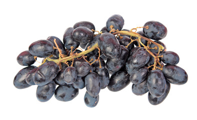 Dark purple ripe grapes isolated on white background