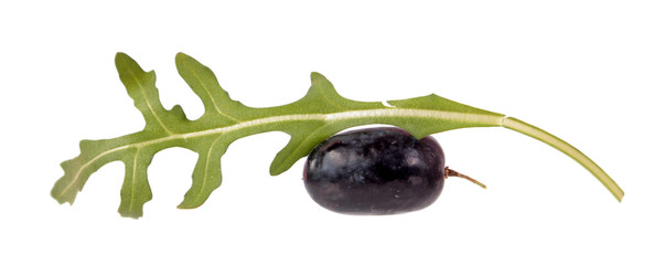 Purple grape berry and fresh green leaf of arugula (Rucola or Rocket salad) isolated on white background. Ingredients for salad
