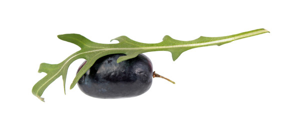 Purple grape berry and fresh green leaf of arugula (Rucola or Rocket salad) isolated on white background. Ingredients for salad