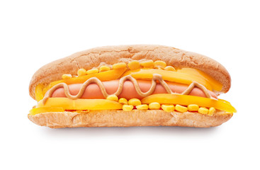 Tasty hot dog on white background