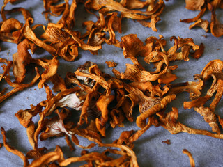 close-up of dried Chanterelle mushrooms