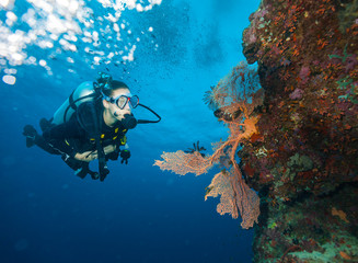 Young woman scuba diver exploring coral reef.