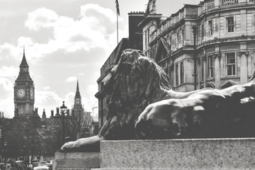 Big Ben Lion - London