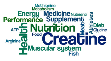 Word Cloud on a white background - Creatine