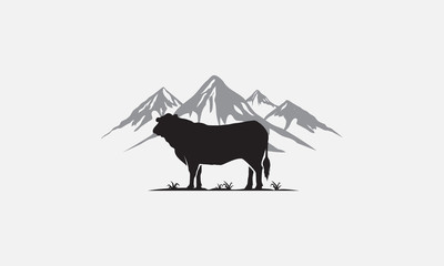 black angus logo design, beef angus - obrazy, fototapety, plakaty
