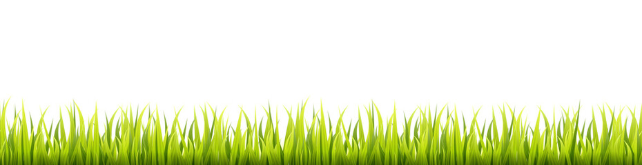 Obraz premium Seamless summer grass panorama. Green springtime herbal lawn. Field or meadow horizontal decoration lines.