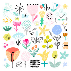 Big set of abstract plants and flowers. Hand drawn. - Vector