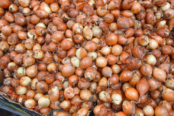 onions in the market