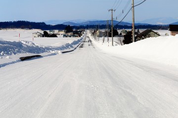 冬の一本道