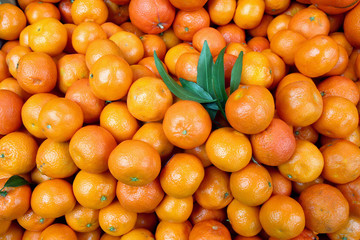 tangerine harvest. tangerines in blue basket. mandarine close up	