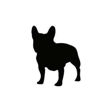 Download 16+ Free Frenchie Svg Gif Free SVG files | Silhouette and ...