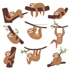Sloth on branch. Cute little kid sleepy animal on branch in zoo playing with baby hanging vector characters cartoon. Sloth lazy character, sleepy and laziness illustration © ONYXprj
