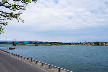 Fototapeta premium Blick auf den Rhein mit der Theodor Heuss Brücke im Hintergurnd von Mainz aus