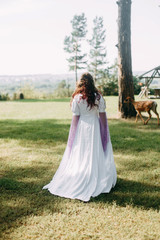 Fototapeta premium Fairy tale wedding fairies and magicians