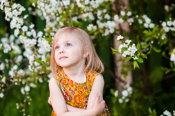 cute little girl near blooming apple trees and cherry