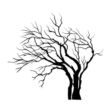 vector silhouette of Tree isolated on the white