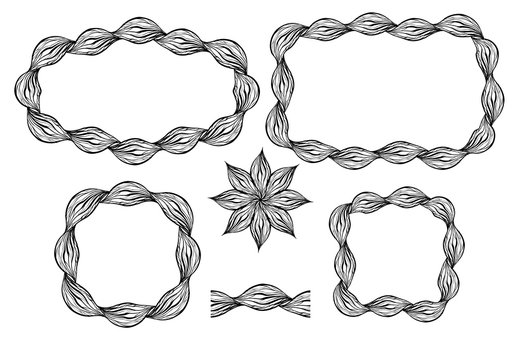 Set of different frames of wavy braids. Round, square frames. Seamless brush and flower in the set. The object is separate from background.   Vector elements for cards, banners and your creativity