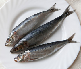 fresh fish on a plate