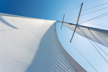 Fototapeta premium white sails against the blue sky