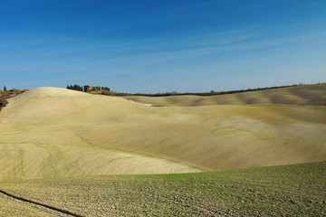 Obraz premium landscape in tuscany near siena
