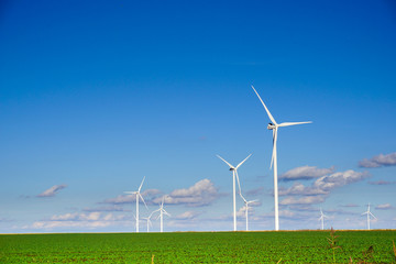 Fototapeta premium wind power plant consisting of several wind turbines standing in a field against a blue sky