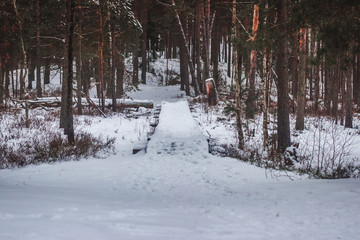 Naklejka premium A path in snow in a forest in natur at winter season