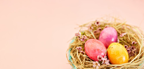 Ostereier im Nest zu Ostern als Header Hintergrund