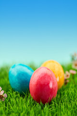 Bunte Ostereier in Natur als Ostern Konzept