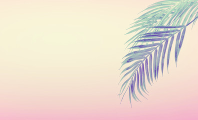 Fototapeta na wymiar Tropical background with hanging palm leaves at gradient pastel pink and yellow. Summer concept