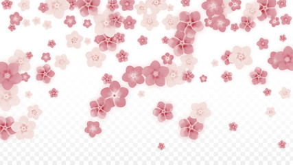 Vector Realistic Pink Flowers Falling on Transparent Background.  Spring Romantic Flowers Illustration. Flying Petals. Sakura Spa Design. Blossom Confetti. Design Elements for Wedding Decoration.