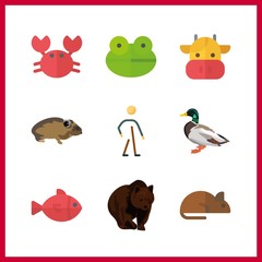 9 animal icon. Vector illustration animal set. crab and fish icons for animal works