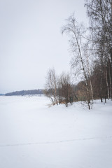 Winter landscape in Russia, Istra lake and trees