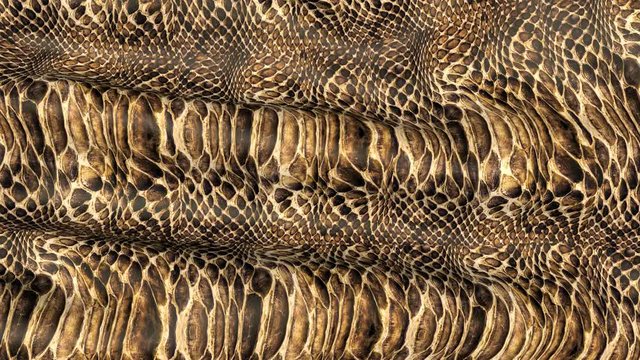 Snake skin background. Background of the canvas ripples.