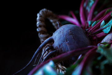 Fresh organic beet, beetroot in the basket. Selective focus. Close view. Low key