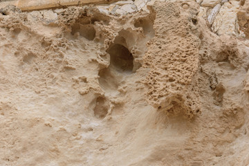 Front view of the natural background of yellow limestone with the bumpy surface with dark hollows that are smoothed by the sea waves 05