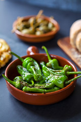 Authentic Spanish tapas with padron peppers and traditional tortilla