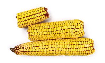 Corn cob isolated on white background, top view