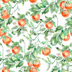 Orange fruits seamless pattern on white background