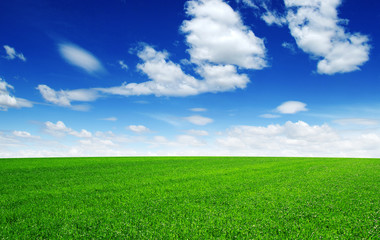 Green field and blue sky