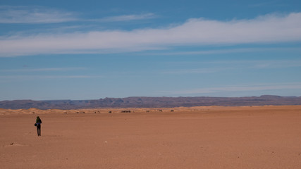 Fototapeta na wymiar lost in Sahara desert