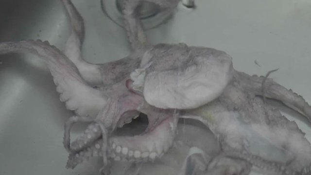 preparazione in cucina